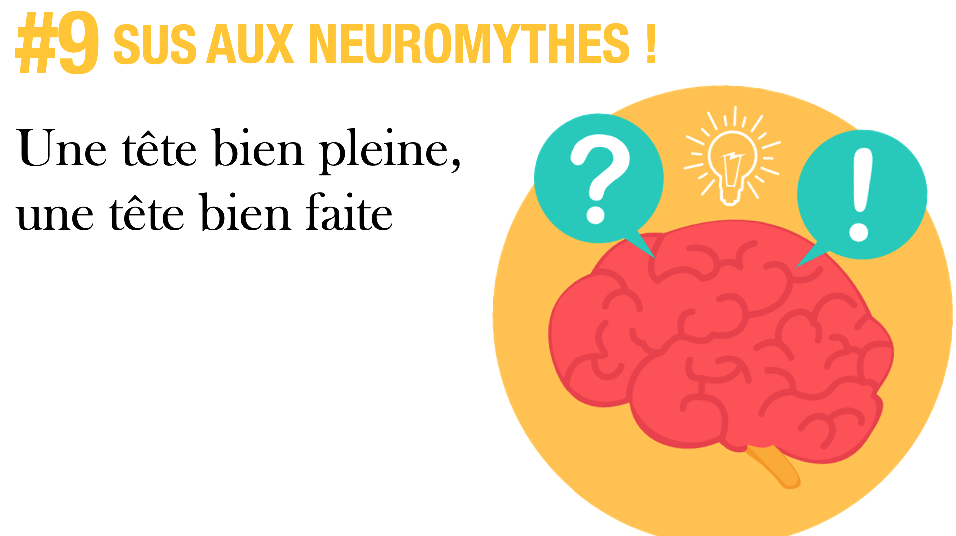 [Sus aux neuromythes !] Episode 9 : Une tête bien pleine, une tête bien