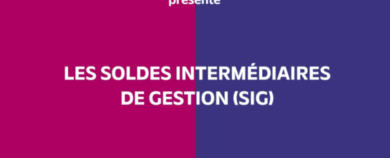 Soldes intermédiaires de gestion