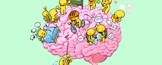 Cerveau et sommeil