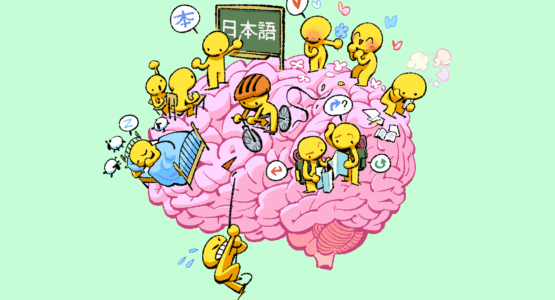 Cerveau et sommeil