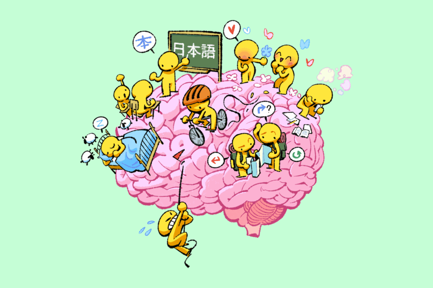 Cerveau et sommeil